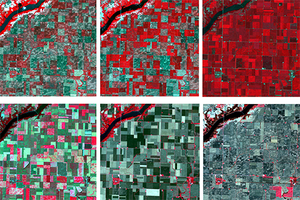 field-level crop monitoring