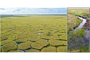 permafrost degradation