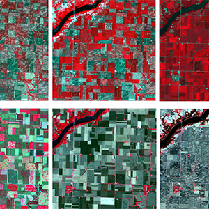 field-level crop monitoring