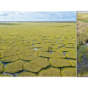 permafrost degradation